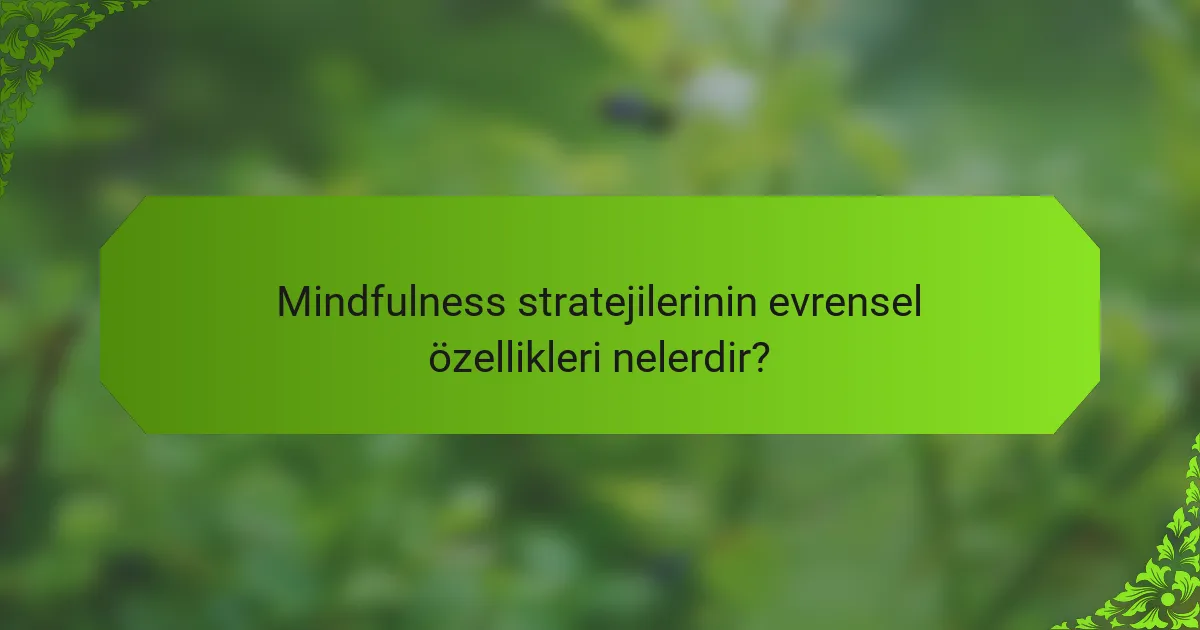 Mindfulness stratejilerinin evrensel özellikleri nelerdir?